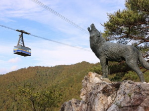 徳島県阿南市のコンパニオン派遣で対応中