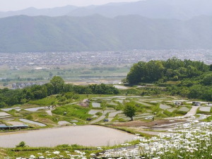 長野県千曲市のコンパニオン派遣で対応中