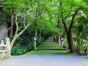 石川県白山市のコンパニオン派遣で対応中