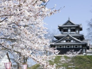 新潟県上越市のコンパニオン派遣で対応中