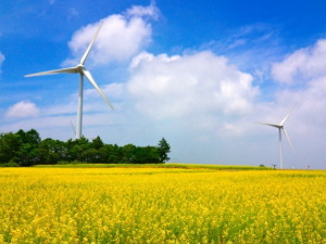 福島県郡山市のコンパニオン派遣で対応中