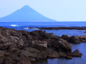 鹿児島県南九州市のコンパニオン派遣で対応中