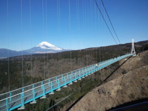 三島の宴会コンパニオンパックプラン