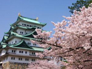 名古屋の宴会コンパニオンパックプラン