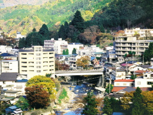 栃木県那須塩原市のコンパニオン派遣で対応中