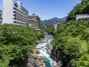 日光の宴会コンパニオンパックプラン