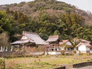 大田の宴会コンパニオンパックプラン