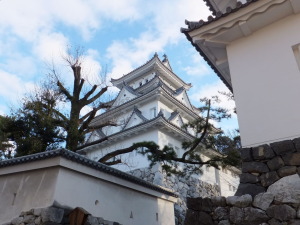 岐阜県大垣市のコンパニオン派遣で対応中