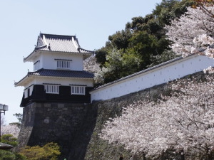 大村市の宴会コンパニオンパックプラン