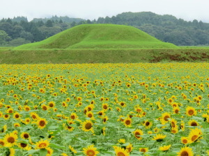 宮崎県西都市のコンパニオン派遣で対応中