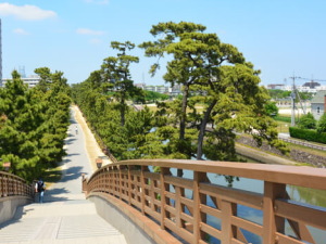 埼玉県草加市のコンパニオン派遣で対応中