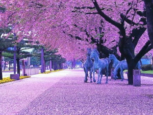 青森県十和田市のコンパニオン派遣で対応中